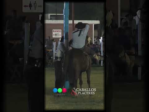 Montas en el Festival Nocturno de Jineteada y Folklore en #santiagotemple  🇦🇷 #CaballosyPlaceres