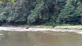 Download lagu Long jalan→malinau selatan hulu →malinau →kalimantan utara mp3