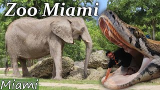 You Won't Believe What You Can Do at Zoo Miami!