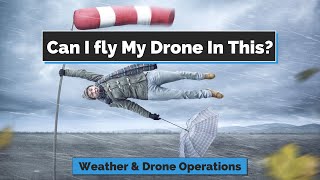 Understanding the Impact of Weather on Small UAS Flight