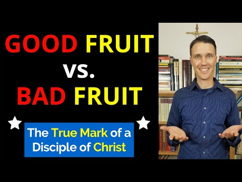image-What does bear good fruit mean?