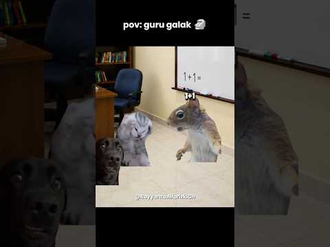 Emang yg benar berapa? 🗿 #cat #memekucing #kucinglucu #meme #kucing #memengakakkocak #lawak