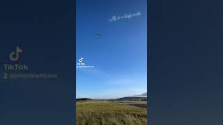 I&#39;LL BE - KIAN EGAN ( WESTLIFE )