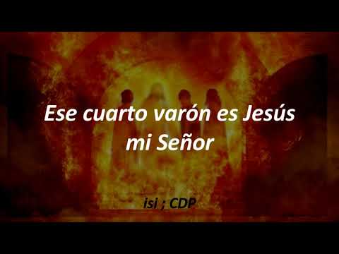 El Cuarto Varón - Fanny Narváez