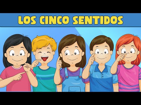 Los CINCO SENTIDOS 👀👅👂✋👃 | CUERPO HUMANO | Videos para niños