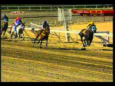 Resumen Sábado, 14 de Febrero de 2015 - La Rinconada