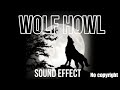 Wolf howl sound effect | night wolf sound | no copyright | free
