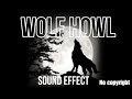 Wolf Howl Sound Effect Night Wolf Sound No Copyright Free