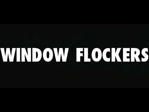 HTM Dinero x EastGawd Seli x Chapo - WINDOW FLOCKERS