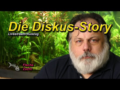 Der Diskus - König der Zierfische - Was du über Haltung, Pflege und Zucht wissen solltest