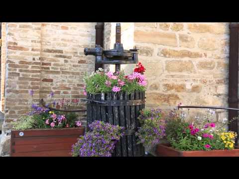 Montelparo - Fermo - Marche