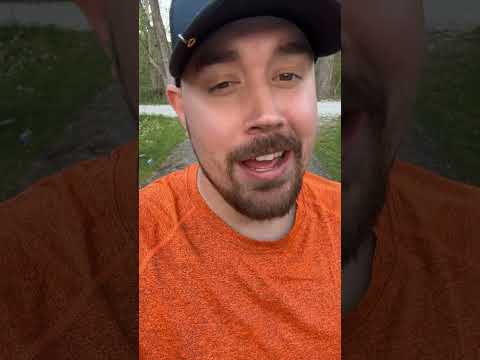 How to keep raccoons and possums away 