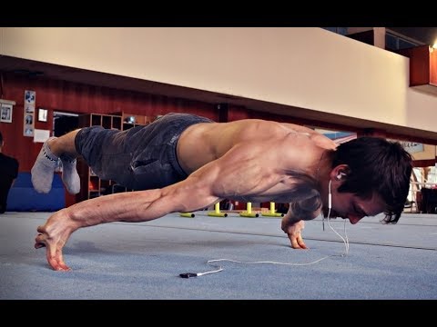 MALTESE DOMINATION | VIKTOR KAMENOV