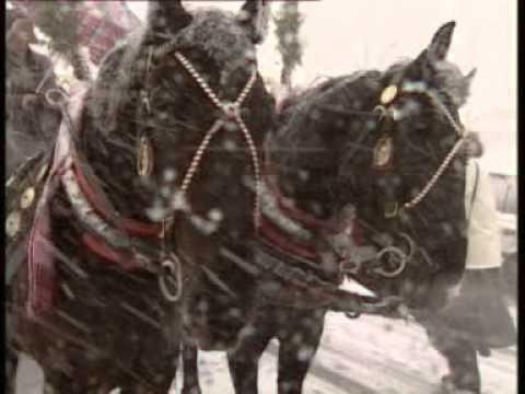 FILM O ZESPOLE SIWY DYM - cz.3