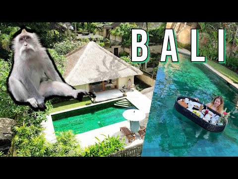 BEST VILLA IN UBUD: Floating Breakfast, the Monkey Forest, and Incredible Amandari $1400 Villa!
