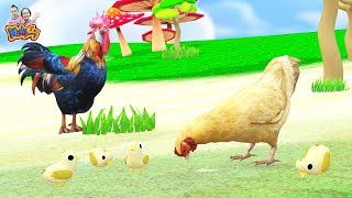 เพลงเด็ก เพลงกุ๊กกุ๊กไก่  - เวอร์ชั่น เพลงเด็กพี่นุ่น น้องภูมิ By KidsMeSong