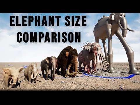 Monsters Elephant Size Comparison 3D | ZUNESHA VS BEHEMOTH