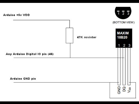 DS18B20  Temperature Sensor DS 18b20 video