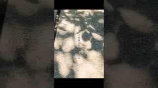 【RADWIMPSトリビュート】オーダーメイド arranged by 二ノ宮はぐ #radwimps #オーダーメイド #トリビュート #cover #歌ってみた #アレンジ