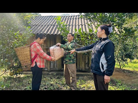 Kind man helps single mother, what will his wife do when she finds out