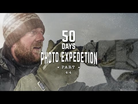 50 DAYS PHOTO EXPEDITION 4:4 - White wolves on Ellesmere Island, Canada