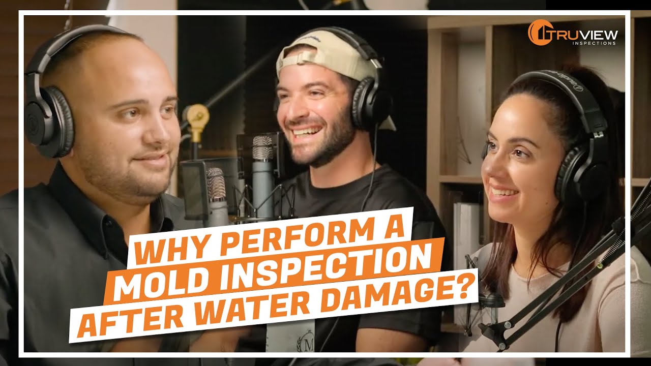 Why Perform A Mold Inspection After Water Damage?