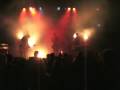 DOG ALMIGHTY -"Drunk With Fear"