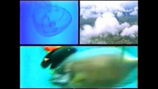 Appliance "Land sea and air" Mute Records 2001