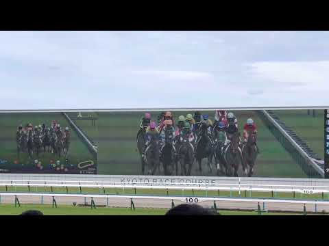 2023.05.28(日)  第90回日本ダービー（G1）京都競馬場現地よりノーカット