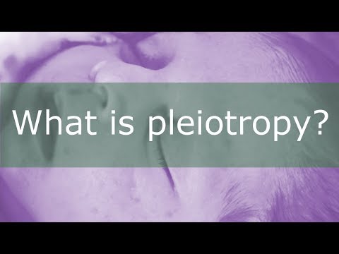Pleiotropy - Definition and Examples - Biology Online Dictionary