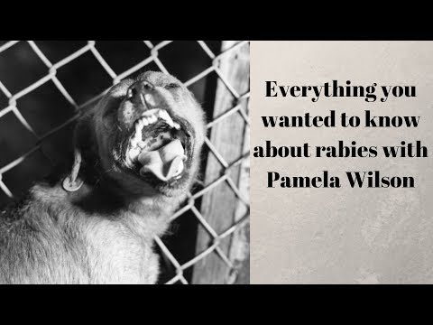 Everything you wanted to know about rabies - YouTube