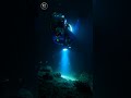 What Do You Think About The Seabed Shorts Ocean Sea Shortsfeed Diving Horror