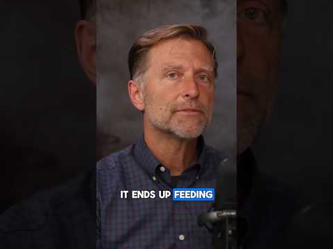 Why Most Indian Men Have Potbellies Why Most Indian Men Have Potbellies