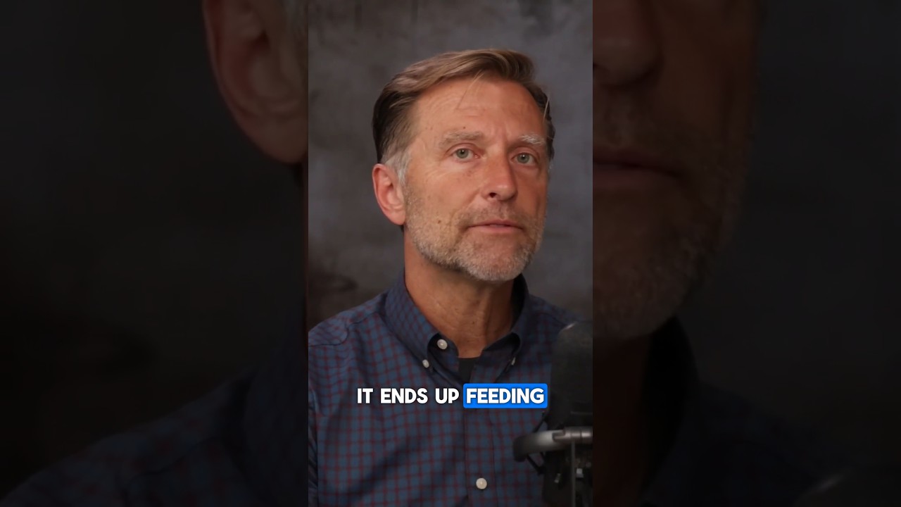 Why Most Indian Men Have Potbellies Why Most Indian Men Have Potbellies