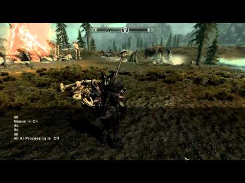 Elder Scrolls Skyrim PC cheats