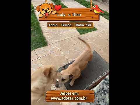 Vídeo de Luly e Nina