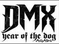 We in here- DMX