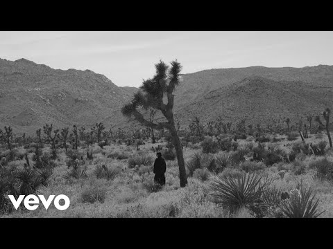 Amanda Cook - Found (Official Music Video)