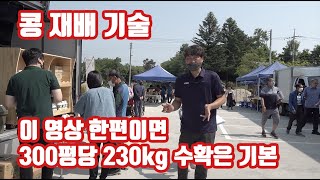 호랑이콩? 약콩? 메주콩? 수확량 증가에 욕심은 이지만... 힘들다고? 100평당 80kg를 기본으로 100…