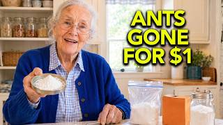 ANTS GONE FOR $1... The Secret Grandma Way (100% Effective)