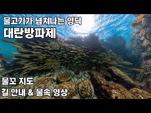 대탄방파제 사진