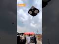 Big Kite Kite Flying Kite Trick ️ Kite Kites Kiteflying Patang Youtubeshorts Trending Shorts