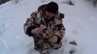 Рыбалка на хариуса в коми