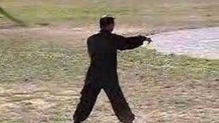 Evasive Fist - Kung Fu Form