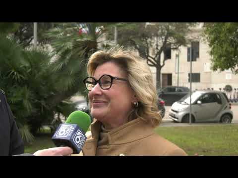 TgSei edizione delle 14 di martedì 31 gennaio 2023