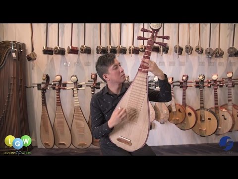 An Introduction to the Pipa