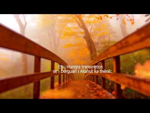 Disa Hadithe me titra Shqip