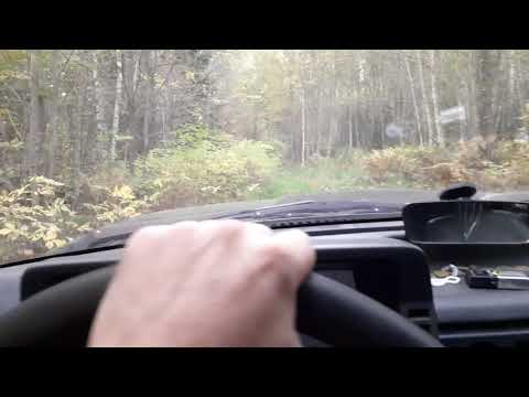 Hauling wood on wood