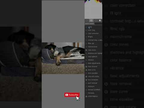 Speed Photo Edit in Darktable: Let Sleeping Dogs Lie!