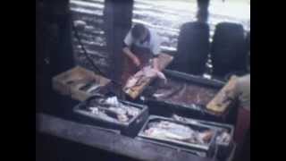 preview picture of video 'Fleetwood fish docks, Lancashire 1968'